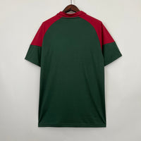 Jersey de Treino Fluminense 23/24 - Cinza Tricolor