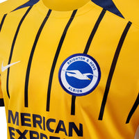 Brighton 25/26 Third Jersey