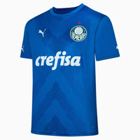 Jersey Palmeiras 23/24