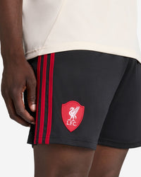 Shorts Liverpool Away 25/26