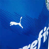 Jersey Palmeiras 23/24